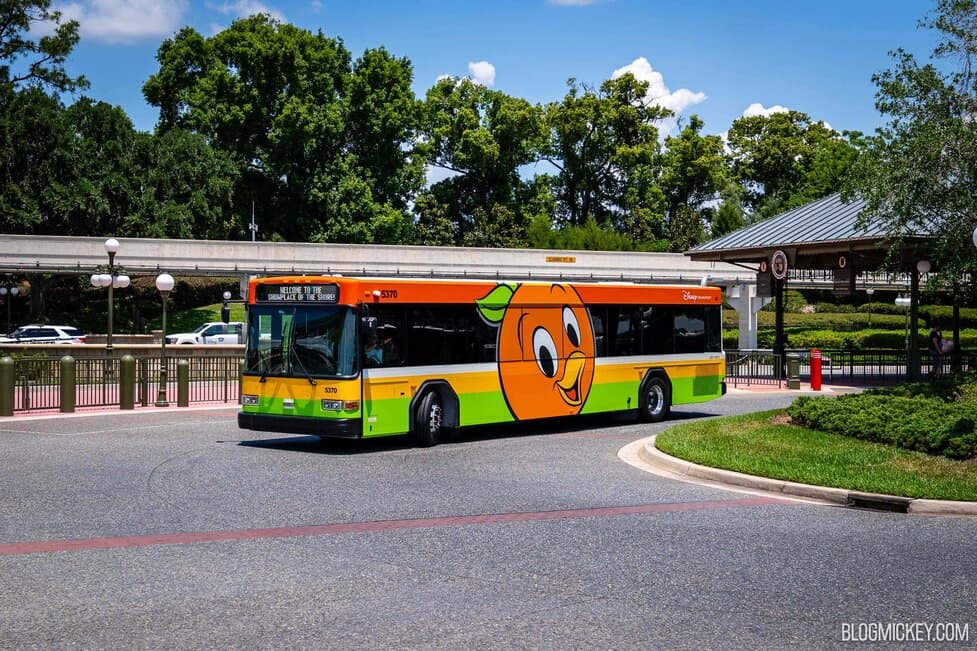 Disney - orange busページ New Orange Bird Bus Wrap Debuts at Walt Disney World